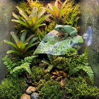 Decoración de Hojas de Plástico con Ventosa para Reptiles y Anfibios, para Tomar el Sol, Descansar, Esconderse y Escalar, Accesorios para Terrarios y Hábitats