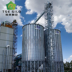 Offre Spéciale – <span class=keywords><strong>Silo</strong></span> TSE en Acier Galvanisé à Fond Conique pour Stockage de Grains et Aliments pour Volailles, Idéal pour Élevages Porcins (10T-2000T) - Product Image 2