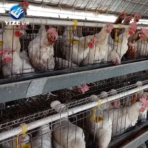 Jaulas de pollo de capas, tipo de gallinero chino, mercado chino, para aves de corral de Zimbabue