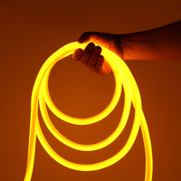 Lampe d'ambiance LED étanche pour extérieur, idéale pour l'éclairage paysager intérieur et de jardin - Bande lumineuse néon multicolore 24V