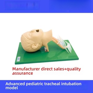 <span class=keywords><strong>แบบ</strong></span>จำลองการฝึกใส่ท่อช่วยหายใจสำหรับเด็กที่มีความเที่ยงตรงสูง PVC ขั้นสูงแบบจำลองการใส่ท่อช่วยหายใจสำหรับวิทยาศาสตร์การแพทย์ฉุกเฉิน - Product Image 2
