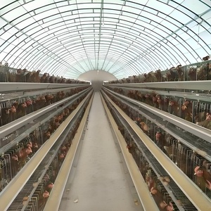 Inek domuz ve koyun için basit hayvan yetiştiriciliği sera tavuk kümesi plastik tek açıklıklı sera - Product Image 3
