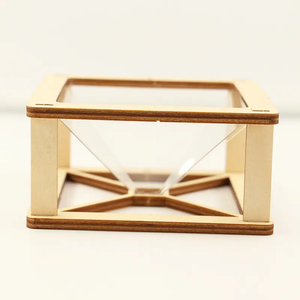 Proiettore Olografico 3D in Legno Fatto a Mano, Giocattolo Scientifico per Bambini, Esperimento Fai-da-Te per Scuola Primaria e Asilo - Product Image 3