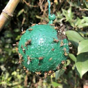Venta Directa de Fábrica, Trampas Adhesivas Amarillas para Moscas de la Fruta de Varios Tamaños Personalizables, Pegatinas para Insectos, Trampas de Pegamento, Bolas Adhesivas - Product Image 2