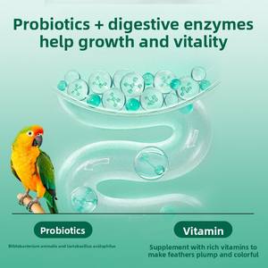 Píldoras Nutritivas de Frutas y Verduras para Loros, Alimento para Periquitos Dorados, Cockatiels, Agapornis, Suplemento Nutricional para Periquitos - Product Image 3