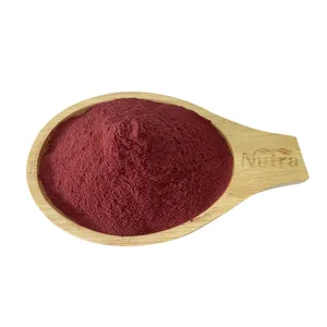 Manufacturer Supply Dried Red Beet Root Powder Beetroot Extract Organic Beetroot Powder