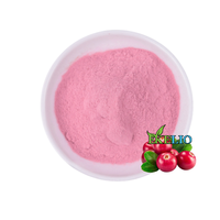 Gummies probiotiques pour femmes Gummies probiotiques à la canneberge Gummies à la canneberge 60 capsules Complément alimentaire