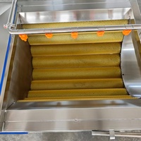 Machine industrielle de lavage de légumes, éplucheuse de pommes de terre, nettoyeur de légumes racineux, laveuse à rouleaux à brosses, équipement de transformation alimentaire