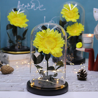 ACTIVELOVE2026 Tournesol Préservé sous Cloche en Verre, Décoration LED Longue Durée (3-5 Ans) pour Anniversaire, Fête des Mères, Saint-Valentin