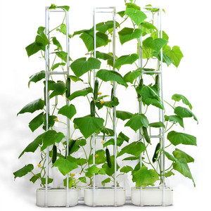 Fabricant vente en gros pot de plantation en plastique intelligent boîte hydroponique arrosage automatique balcon culture de légumes outil des gens <span class=keywords><strong>paresseux</strong></span> - Product Image 2