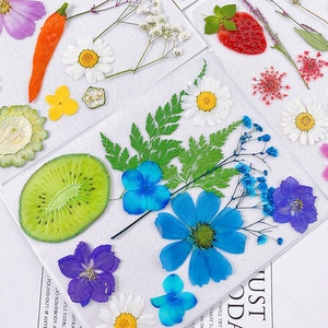 DM746 Fleurs séchées fraîchement pressées, fruits, feuilles naturelles, accessoires pour la fabrication de bougies, de savons et de décorations en résine DIY - Product Image 4
