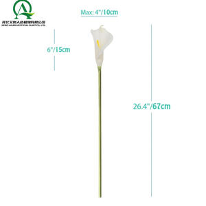 Lys calla artificiels fleurs à longue tige lys <span class=keywords><strong>arum</strong></span> réalistes pour mariage <span class=keywords><strong>bouquet</strong></span> <span class=keywords><strong>de</strong></span> <span class=keywords><strong>mariée</strong></span> décor à la maison pièce maîtresse - Product Image 4