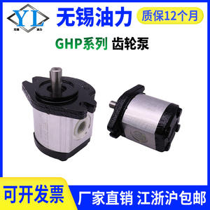 Pompes à engrenages Marzochi GHP1A et GHP2A-D-13/16/20/22-FG neuves et d'occasion en provenance d'Italie - Product Image 2