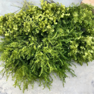 Nouveauté 2025 : Panneaux muraux en herbe artificielle écologique en plastique, 50 cm, longue durée, pour mariages, maisons et restaurants - Product Image 2