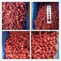 Verse smaak Nieuwe oogst IQF Diepvries Aardbeien Bulk Zoete Charlie Variëteit Ongecalibreerd Herkomst Shandong