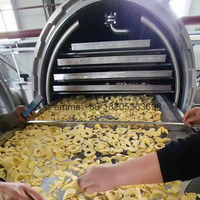 TCA Commerciële Hoge Kwaliteit Bananen- en Plantainchipsmachine, Plantainchips Verwerkingslijn Machine