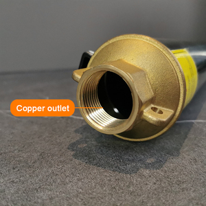 Máy Bơm Nước Năng Lượng Mặt Trời 48V 750W, Máy Bơm Nước Chìm Giếng Sâu 5M 3/H, Công Suất Tối Đ<span class=keywords><strong>a</strong></span> 50M, Máy Bơm Không Chổi Than Dc Dùng Cho Ao - Product Image 5