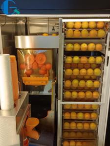 Máquina expendedora automática de jugo de naranja las 24 horas <span class=keywords><strong>Pago</strong></span> con moneda/factura/tarjeta de crédito 200-300 piezas Capacidad 1 año de garantía Sistema de enfriamiento - Product Image 3