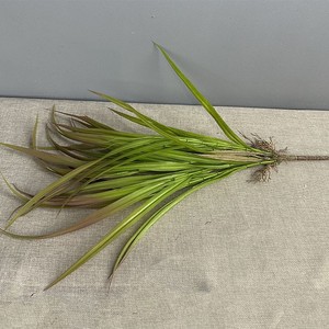 Orquídea hierba verde boda camino guía Artificial Chlorophytum cebolla hierba <span class=keywords><strong>planta</strong></span> con <span class=keywords><strong>espada</strong></span> hoja de lirio para paisajismo - Product Image 6