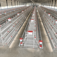 Cage à poules pondeuses de type A pour élevages en batterie, modèle RTL, galvanisée, pour l'équipement d'élevage de poules pondeuses