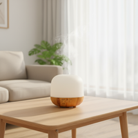 Diffuseurs d'huiles essentielles 250 ml, diffuseur d'aromathérapie et humidificateur d'air