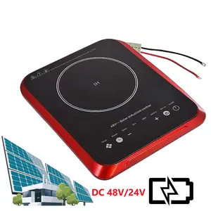 Precio de fábrica 1 quemador Steam Fry Cocina de inducción portátil multifuncional Electric12V 24V 48V DC Batería Solar Coche al aire libre