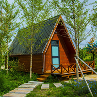 Cabane en bois de haute qualité avec structure triangulaire, maison préfabriquée moderne de luxe, pod de glamping pour hôtel, appartement, hall, villa, camping en plein air