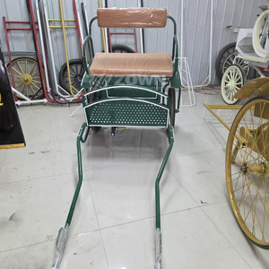 Popular ZOWN Mini Green Marathon Horse Cart, Carroza de Caballos Única de 2 Ruedas para 4-6 Personas, Carroza de Paseo Elegante para Venta - Product Image 1