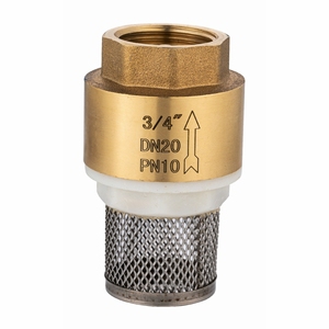 Ningbo Texoon approvisionnement d'usine clapet de pied en <span class=keywords><strong>laiton</strong></span> forgé <span class=keywords><strong>disque</strong></span> en plastique 304 filtre à ressort en acier inoxydable - Product Image 1