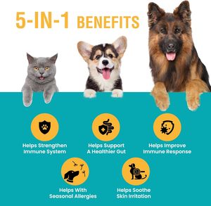 Hanyun Factory Pet Health Care & Supplements Allergy & Immune Support Gotas líquidas para perros y gatos Proporcione muestra gratis - Product Image 2