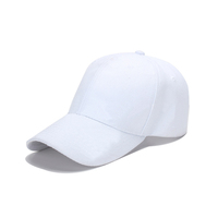 Casquette de canard avec Logo brodé, casquette publicitaire vierge, vente en gros, chapeau de soleil, chapeau de voyage, assiette légère, chapeau d'ombre, casquette de Baseball