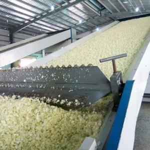 DWT-2-10 förderer kommerzieller Obst-und Gemüse trockner - Product Image 2