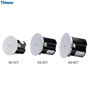 Thinuna GS, коммерческий пассивный портативный двухкомпонентный громкоговоритель, громкоговоритель, аудиосистема, звуковой коаксиальный потолочный динамик