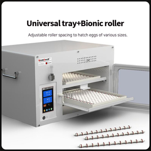 Sıcak satış özelleştirmek küçük güneş sürüngen yumurta kuluçka güvenlik özellikleri ile Hatch makinesi - Product Image 4