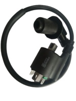 Bobine d'allumage de moto, pièces du système d'allumage, bobine d'allumage EFI pour moto YAMAHA DELPHI HONDA GYB