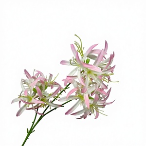 <span class=keywords><strong>Fleur</strong></span> d'<span class=keywords><strong>Higanbana</strong></span>, équinoxe, décoration de maison en verre, ornement de table de haute qualité pour la remise de diplômes, la Saint-Valentin, Thanksgiving, chinois - Product Image 4