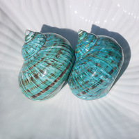 Coquille Turbo Rare Naturelle, Conque Océanique Polie, Décoration d'Intérieur, Mariage sur la Plage, Fête, Collection Nautique, Décoration Nautique