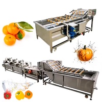 Équipement de nettoyage automatique efficace pour légumes-feuilles à bulles d'air, machine à laver les fruits, les tomates et les pommes