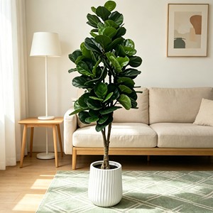 Árbol Artificial de Ficus Lyrata en Maceta Blanca para Decoración de Interiores, Hojas de Alta Simulación, Planta de Plástico - Product Image 3