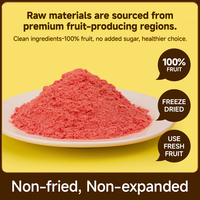 Poudre d'extrait de fraise lyophilisée naturelle en vrac 1kg, emballage sous vide, pour smoothies et snacks