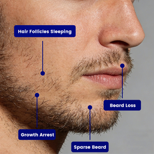 Spray de croissance de <span class=keywords><strong>barbe</strong></span> biologique hydratant <span class=keywords><strong>et</strong></span> adoucissant pour <span class=keywords><strong>barbe</strong></span> claire ou irrégulière - Product Image 2