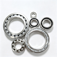 Rodamiento Híbrido de Acero Inoxidable S6206 Resistente a Altas Temperaturas con Bolas de Nitruro de Silicio, Retenedor de PTFE 30x62x16mm