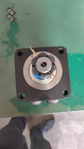 Moteur BMER Série BMER-2 BMER-2-750-WDT4 BMER-2-160-WS Moteur à roue motrice hydraulique BMER-2-200-WS Moteurs orbitaux - Product Image 4