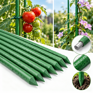 Sunsbuild 90cm x 8mm Plastic Coated Steel <b>Tomato</b> Stakes Garden Plant <b>Support</b> Rods for Vegetables, Flowers and Climbing Plants - Product Image 6