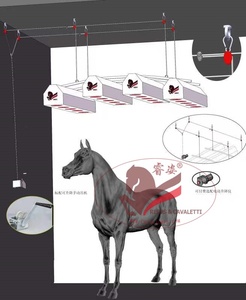 <span class=keywords><strong>Solarium</strong></span> de infrarrojos para caballos de grado veterinario: Equipo para acelerar la curación y la relajación muscular - Product Image 3