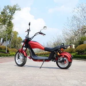 Elektro fahrrad 2000W Motor Motorrad Elektro Citycoco 72v 20ah Batterie Elektro roller für Erwachsene EEC COC