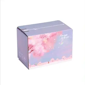 Tùy chỉnh Bưu Chính thể hiện bao bì màu carton shippier carton thêm cứng đầy đủ màu sắc