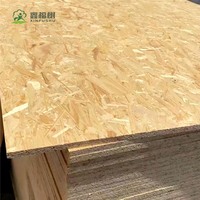 Vente en gros de panneaux OSB (Oriented Strand Board) de 9,5 mm, 11,1 mm et 18 mm