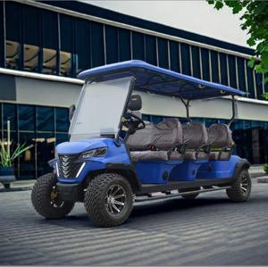 Golf Cart Cinese Omologato per Strada a 7-8 Posti, Buggy a Quattro Ruote con Motore a 2 Tempi - Product Image 1