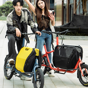 Vélo <span class=keywords><strong>cargo</strong></span> à longue portée avec cadre en aluminium à 9 vitesses, 2 roues, siège familial pour enfants et animaux domestiques, capacité de charge de 160 kg, roues de 20 pouces - Product Image 1